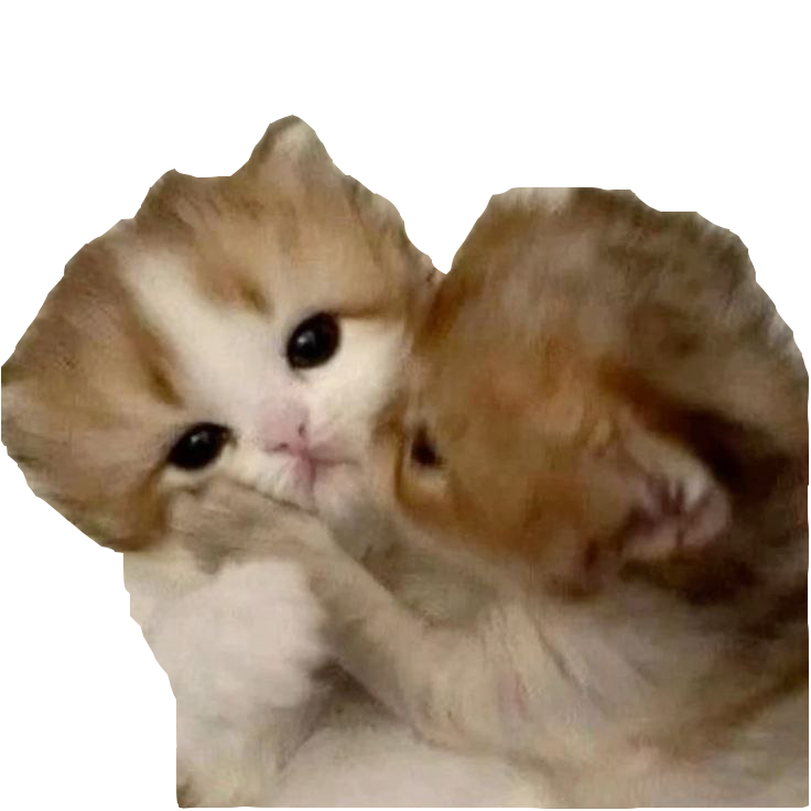 Kitty Kussen